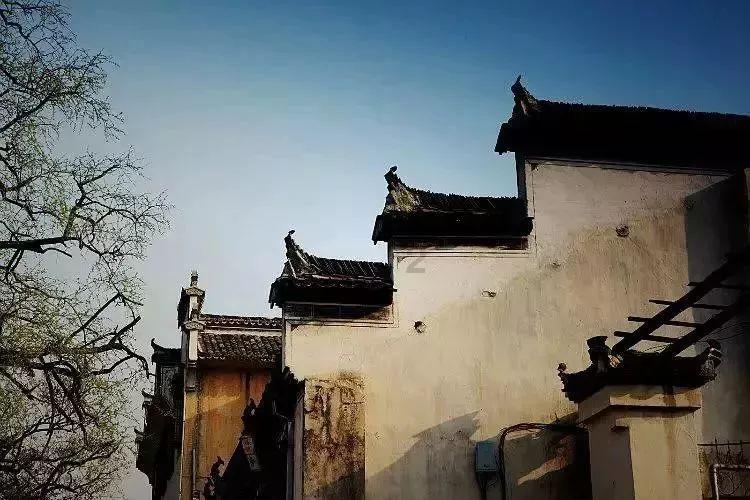 康熙口误叫错一个水果名字，后人跟着叫错300百年，至今仍然读错